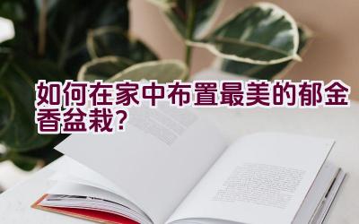如何在家中布置最美的郁金香盆栽？插图