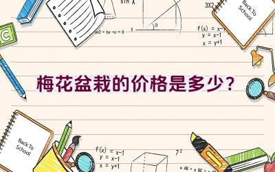 梅花盆栽的价格是多少？插图