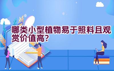 哪类小型植物易于照料且观赏价值高？