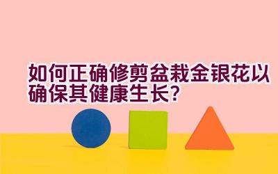 如何正确修剪盆栽金银花以确保其健康生长？插图