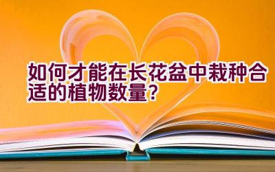 如何才能在长花盆中栽种合适的植物数量？插图