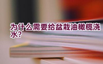 为什么需要给盆栽油橄榄浇水？插图