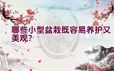 哪些小型盆栽既容易养护又美观？插图