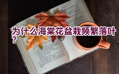 为什么海棠花盆栽频繁落叶？插图