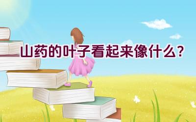 山药的叶子看起来像什么？插图