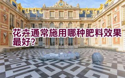 花卉通常施用哪种肥料效果最好？插图