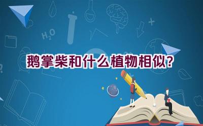 鹅掌柴和什么植物相似？插图