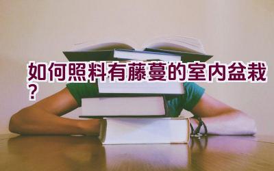 如何照料有藤蔓的室内盆栽？插图