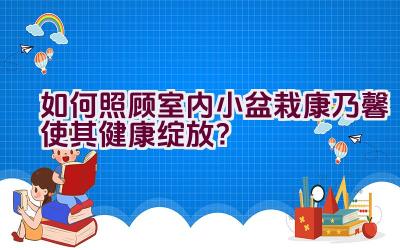 如何照顾室内小盆栽康乃馨使其健康绽放？插图