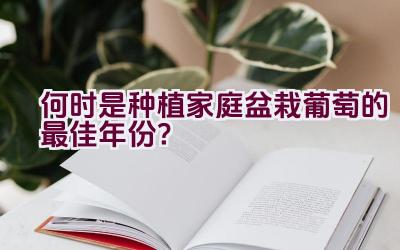 何时是种植家庭盆栽葡萄的最佳年份？插图