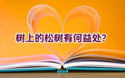 树上的松树有何益处？插图