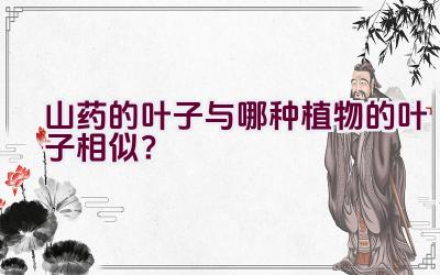 山药的叶子与哪种植物的叶子相似？