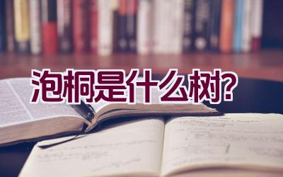 泡桐是什么树？插图