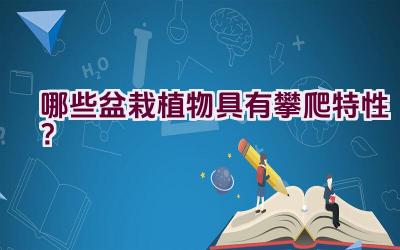 哪些盆栽植物具有攀爬特性？插图