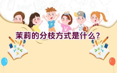 茉莉的分枝方式是什么？插图