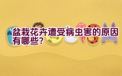 盆栽花卉遭受病虫害的原因有哪些？插图