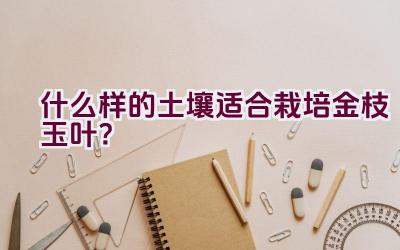 什么样的土壤适合栽培金枝玉叶？插图