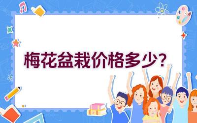 梅花盆栽价格多少？插图