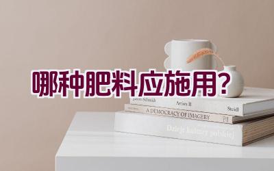 哪种肥料应施用？插图