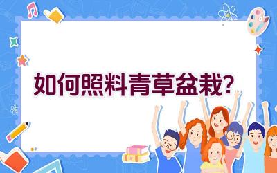 如何照料青草盆栽？插图