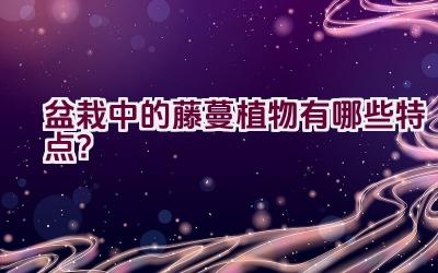 盆栽中的藤蔓植物有哪些特点？插图