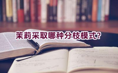 茉莉采取哪种分枝模式？插图