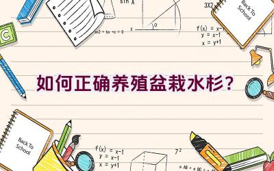 如何正确养殖盆栽水杉？插图