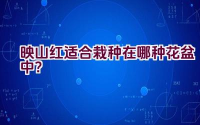 映山红适合栽种在哪种花盆中？