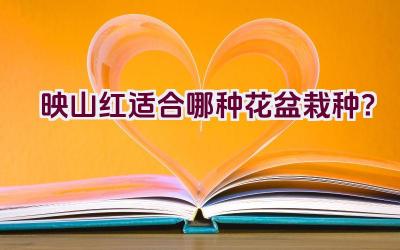 映山红适合哪种花盆栽种？