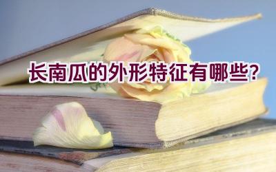 长南瓜的外形特征有哪些？