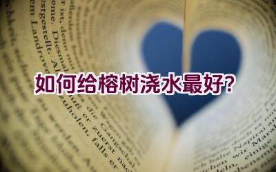 如何给榕树浇水最好？插图