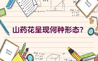 山药花呈现何种形态？插图