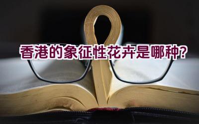 香港的象征性花卉是哪种？插图