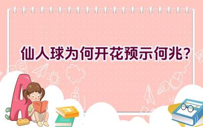 仙人球为何开花预示何兆？