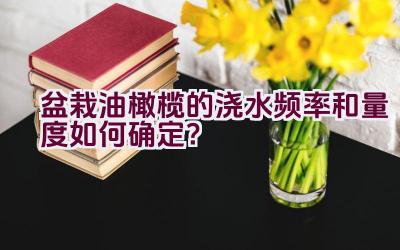 盆栽油橄榄的浇水频率和量度如何确定？插图