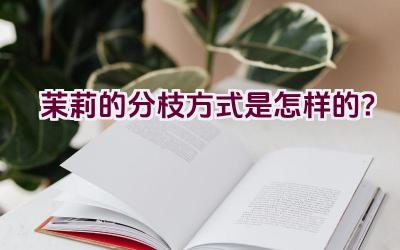 茉莉的分枝方式是怎样的？插图