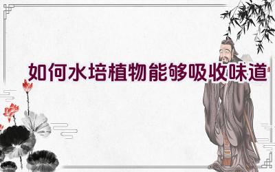 如何水培植物能够吸收味道插图