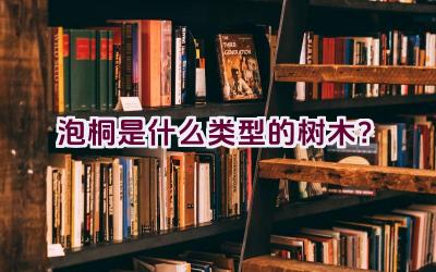 泡桐是什么类型的树木？插图
