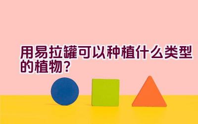 用易拉罐可以种植什么类型的植物？插图