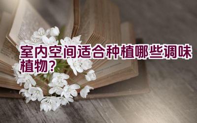 室内空间适合种植哪些调味植物？