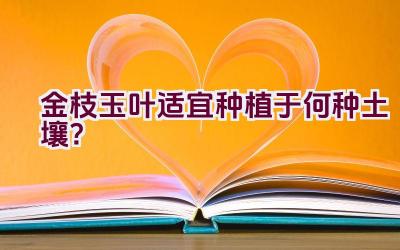 金枝玉叶适宜种植于何种土壤？插图