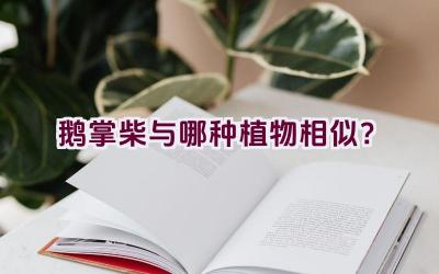 鹅掌柴与哪种植物相似？插图