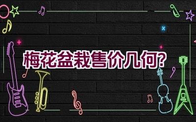 梅花盆栽售价几何？插图