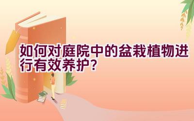 如何对庭院中的盆栽植物进行有效养护？插图