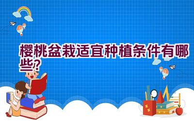 樱桃盆栽适宜种植条件有哪些？插图