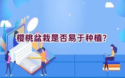 樱桃盆栽是否易于种植？插图