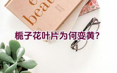 栀子花叶片为何变黄？插图