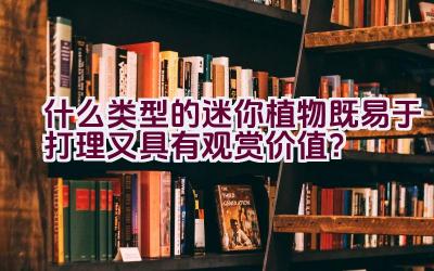 什么类型的迷你植物既易于打理又具有观赏价值？插图
