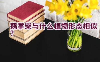 鹅掌柴与什么植物形态相似？插图