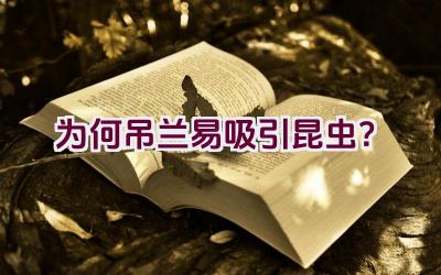 为何吊兰易吸引昆虫？插图